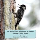 The Red-Cockaded Woodpecker at Noxubee National Wildlife Refuge