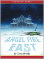 Angel Fire East (Word and The Void Trilogy Series #3)