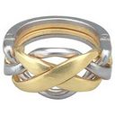 Hanayama Cast Puzzle - Ring - Level 4 by University Games: Product Image
