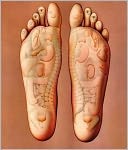 download The Ultimate Guide to Reflexology book