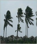 How to Take on Storms: Inspirational Stories to Get You Through Difficult Times
