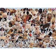 Dogs Galore! - 1000 piece puzzle
