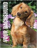 Your Dachshund