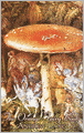 The Orange Fairy Book