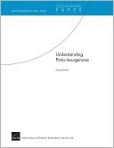 Understanding Proto-Insurgencies: RAND Counterinsurgency StudyÑPaper 3