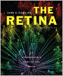 The Retina: An Approachable Part of the Brain