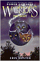 The Sight (Warriors: Power of Three Series #1)