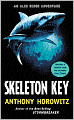 Skeleton Key (Alex Rider Series #3)