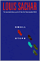 Small Steps
