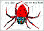 The Very Busy Spider
