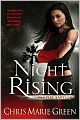 Night Rising (Vampire Babylon Series #1)