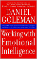 Working with Emotional Intelligence