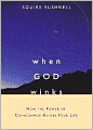 When God Winks: How the Power of Coincidence Guides Your Life