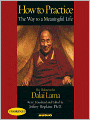 How to Practice: The Way to a Meaningful Life