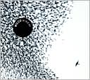 Sky Blue Sky by Wilco: CD Cover