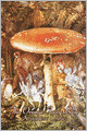The Orange Fairy Book