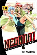 Negima! Volume 14