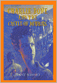 Charlie Bone and the Castle of Mirrors (Children of the Red King Series #4)