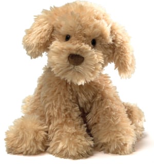 Nayla Cockapoo