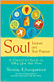 Soul Lessons and Soul Purpose: A Channeled Guide to Why You Are Here