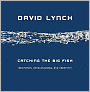 Catching the Big Fish: Meditation, Consciousness, and Creativity