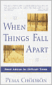 When Things Fall Apart: Heart Advice for Difficult Times