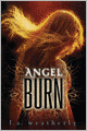 Angel Burn (Angel Trilogy Series #1)