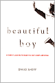 Beautiful Boy: A Father's Journey through His Son's Addiction
