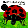 The Grouchy Ladybug