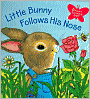 Little Bunny Follows His Nose