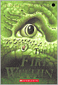 The Fire Within (The Last Dragon Chronicles Series #1)