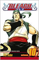 Bleach, Volume 10: Tattoo on the Sky