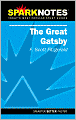 The Great Gatsby (SparkNotes Literature Guide Series)