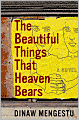 The Beautiful Things That Heaven Bears