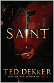 Saint (Paradise Series #2)
