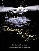Between the Wingtips: The Secret Life of Birds