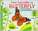 From Caterpillar to Butterfly