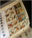 Beginners Guide to Stamp Collecting: All the Things You Must Know Before You Start Philately
