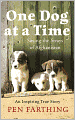 One Dog at a Time: Saving the Strays of Afghanistan