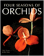 Four Seasons of Orchids