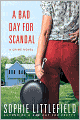 A Bad Day for Scandal (Stella Hardesty Series #3)