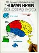 Human Brain Coloring Book