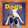1,001 Reasons to Love Dogs