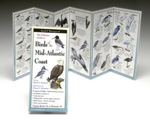 The Ultimate Guide to Birds of the Mid-Atlantic Coast