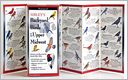 Sibley's Backyard Birds of the Upper Midwest