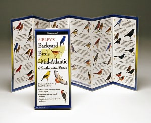 Sibley's Backyard Birds of the Mid-Atlantic & South-central States