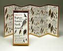 Sibley's Raptors of Eastern North America
