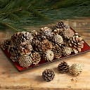 Gold-Tipped Pinecones by K&K Interiors: Product Image