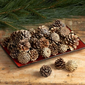 Gold-Tipped Pinecones