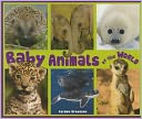 Baby Animals of the World